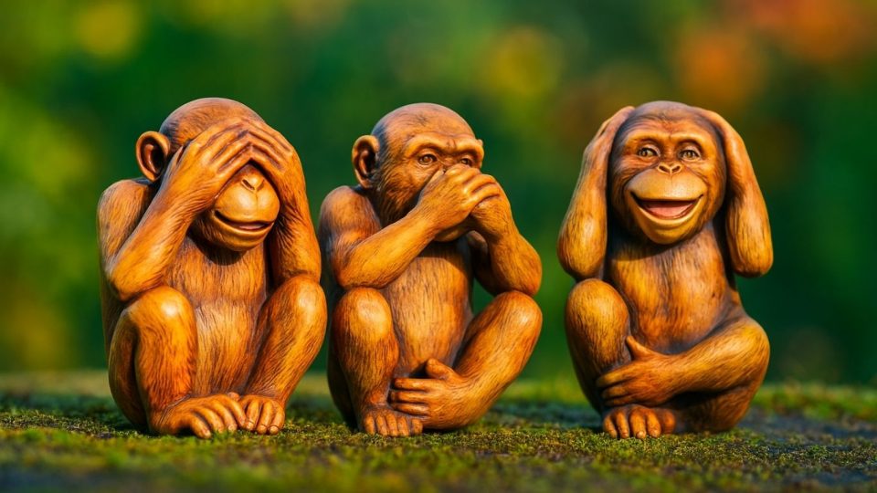 10 работи кои обичниот човек мора да ги знае за демократијата