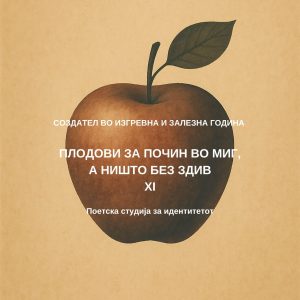 Создател XI - За идентитетот