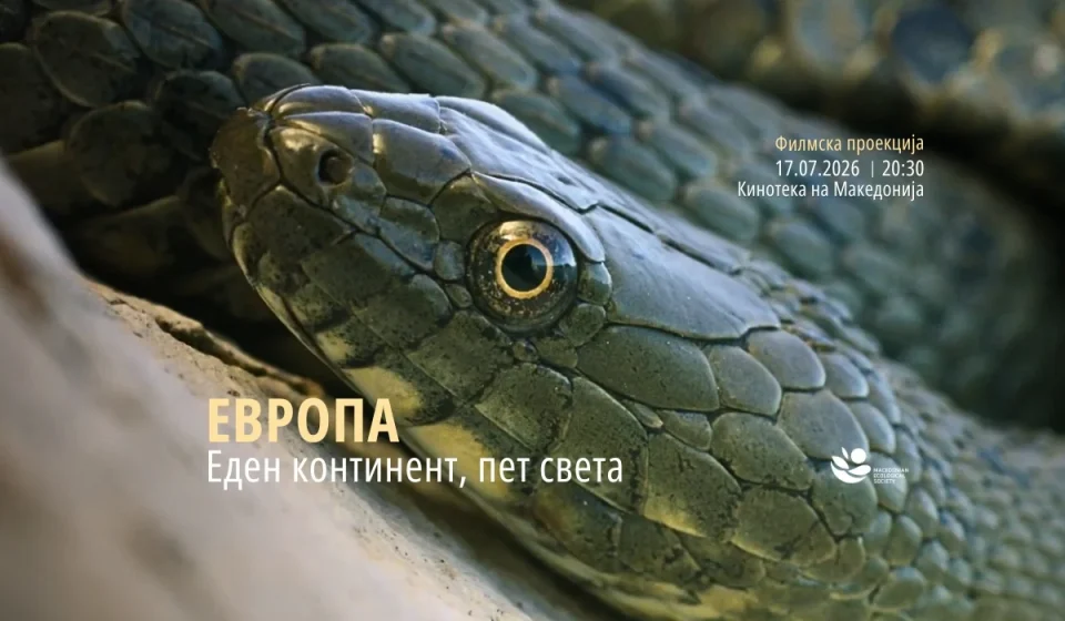 Змија-рибарка крај Преспанско Езеро во атмосферска сцена за Голем Град и Светскиот ден на змиите