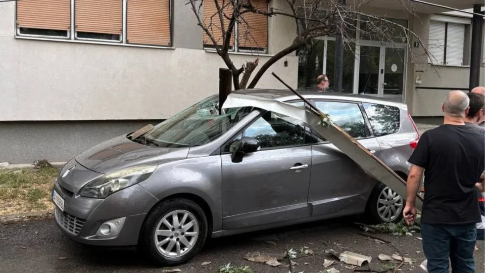 Невремето го удри Скопје: паднати дрвја, откорнати покриви и кризни штабови на терен