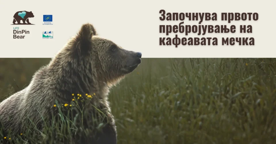 Генетски мониторинг на кафеавата мечка во Македонија